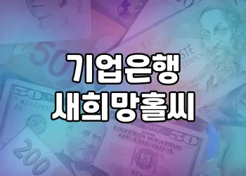 기업은행 새희망홀씨, 서민금융의 표본 | 대출 상품 비교