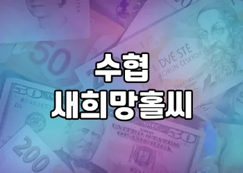 수협 새희망홀씨, 서민분들을 위한 대출상품 | 맞춤형 대출 옵션