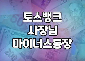 토스뱅크 사장님 마이너스통장 | 비대면 개인사업자 대출의 첫걸음