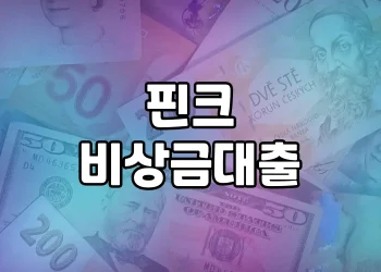 핀크 비상금대출 | 급전이 필요한 순간 이용해보세요